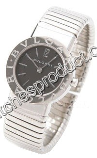 Bvlgari BB Tubogas Steel Watch BB262TS.2