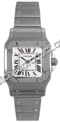 Cartier Santos W20056D6 Watch