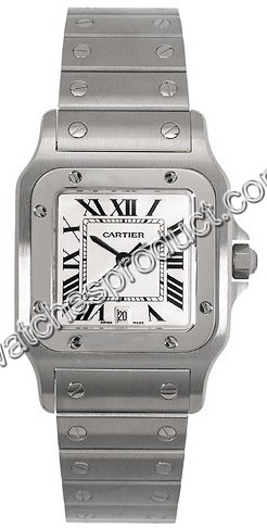 Cartier Santos Watch W20060D6