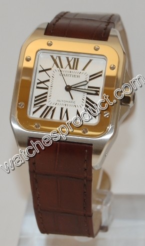 Cartier Santos 100 W20072X7 Watch