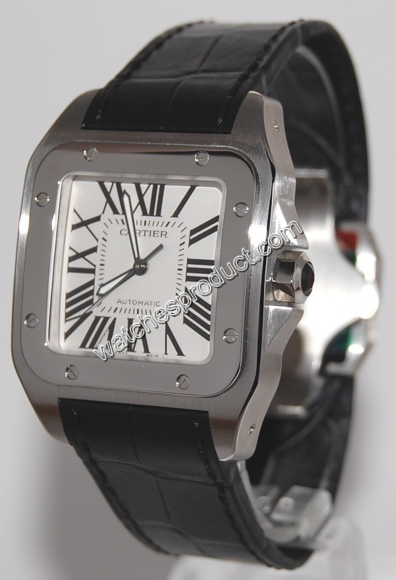 Cartier Steel Watch W20073X8