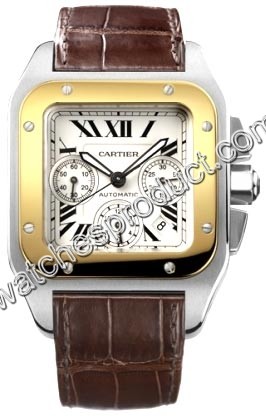 Cartier Automatic Mens Watch W20091X7