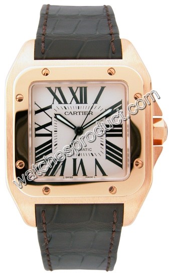 Cartier Santos W20095Y1 Mens Watch