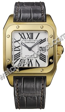 Cartier Automatic Ladies Watch W20112Y1