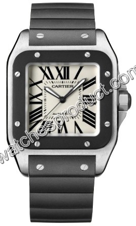 Cartier Santos W20121U2 Watch