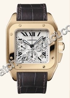 Cartier Silver Roman Numeral Dial Mens Watch W20131Y1