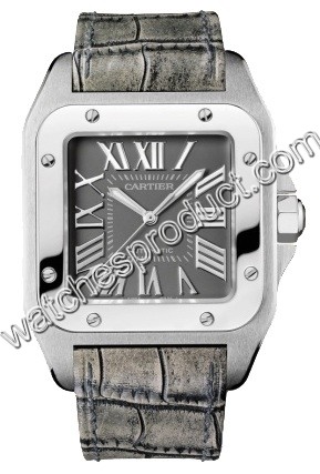 Cartier W20134X8 Steel Watch