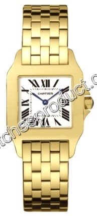 Cartier Santos W25062X9 Watch