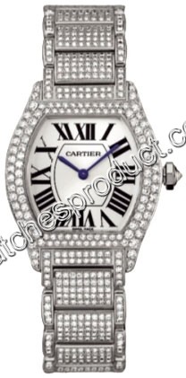 Cartier Tortue Watch WA5049MC