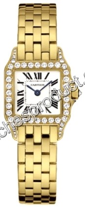 Cartier Santos Watch WF9001Y7