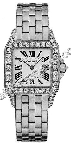 Cartier Santos Watch WF9004Y8