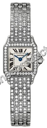 Cartier Silver Dial Watch WF9005YA