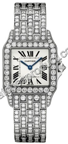 Cartier Santos Watch WF9010YA