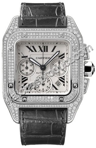 Cartier Mens WM500651 Watch