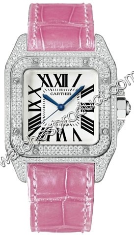 Cartier Santos WM501751 Watch