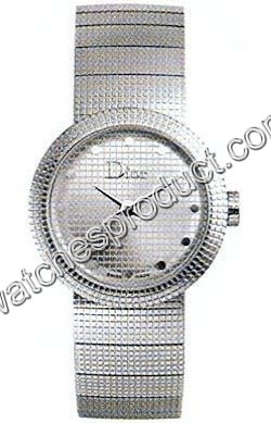 Christian Dior CD041110M001 Steel Watch