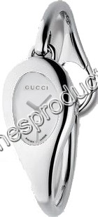 Gucci silver Dial Watch YA103505