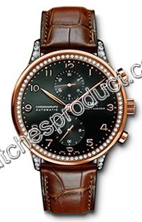 IWC Portuguese IW371471 Watch