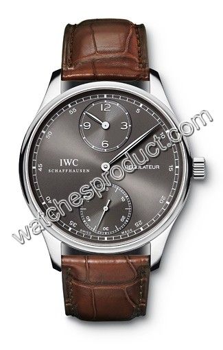 IWC Silver Dial Watch IW544404