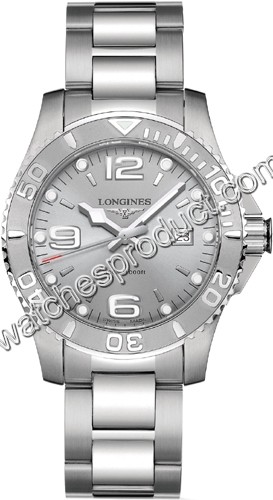 Longines Grey Quarter Arabic Dial Watch L3.663.4.76.6