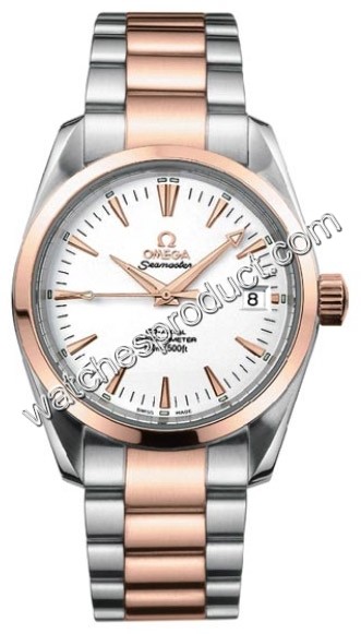 Omega Seamaster Aqua Terra 2304.30.00 Watch