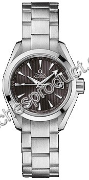 Omega Grey Dial Watch 231.10.30.20.06.001