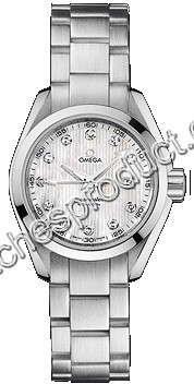 Omega Aqua Terra 150m Ladies 231.10.30.61.55.001 Watch