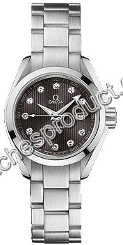 30mm Omega Ladies Watch 231.10.30.61.56.001