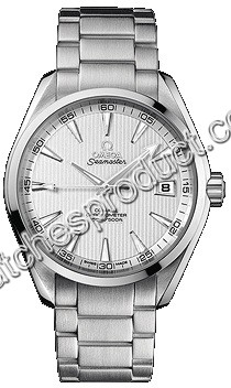 Omega Silver Dial Watch 231.10.42.21.02.001