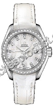 Omega Steel set with Diamonds Watch 231.18.30.20.55.001