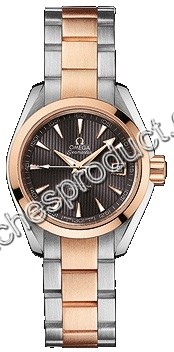 Omega Aqua Terra 150m Ladies 231.20.30.20.06.001 Watch