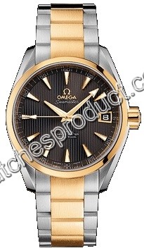 Omega Automatic Co-Axial Mens Watch 231.20.39.21.06.002