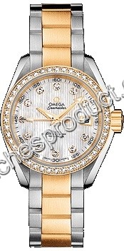 30mm Omega Ladies Watch 231.25.30.20.55.002