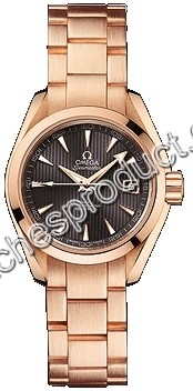 Omega 231.50.30.20.06.001 Rose Gold Watch