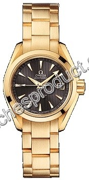 Omega Automatic Co-Axial Ladies Watch 231.50.30.20.06.002