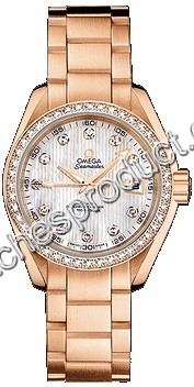 30mm Omega Ladies Watch 231.55.30.20.55.001