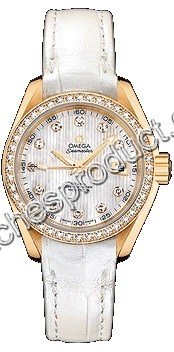 Omega Aqua Terra 150m Ladies 231.58.30.20.55.002 Ladies Watch