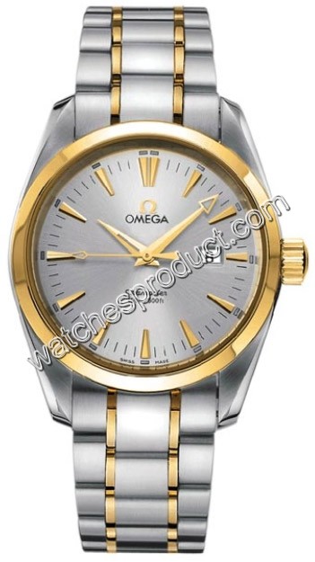 Omega Seamaster Aqua Terra 2317.30.00 Mens Watch