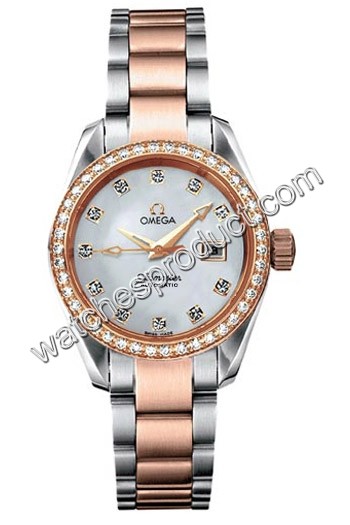 Omega Seamaster Aqua Terra Ladies Watch 2365.75.00