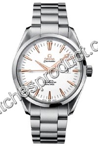 Omega Seamaster Aqua Terra 2502.34.00 Mens Watch