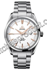 Omega Seamaster Aqua Terra Mens Watch 2503.34.00