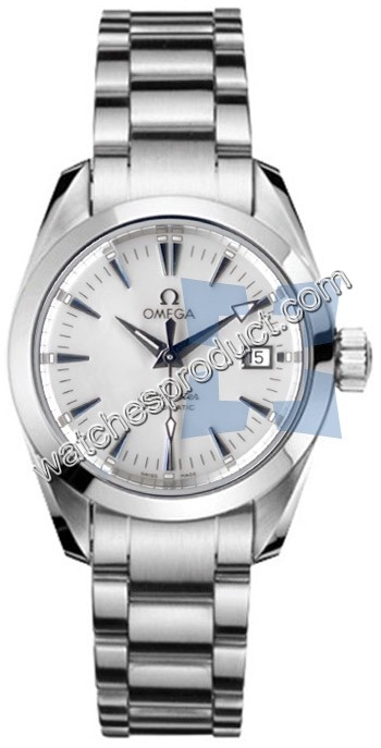 Omega Seamaster Aqua Terra 2573.70.00 Watch