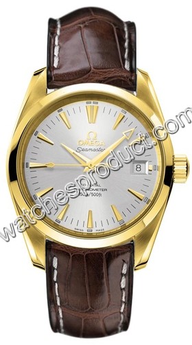 Omega Seamaster Aqua Terra Watch 2603.30.37