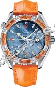 Omega Planet Ocean 2905.50.38 Mens Watch