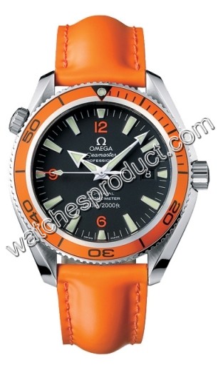 Omega Planet Ocean 2909.50.83 Watch