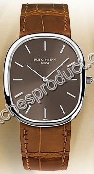 Patek Philippe Golden Ellipse 3738/100G Watch