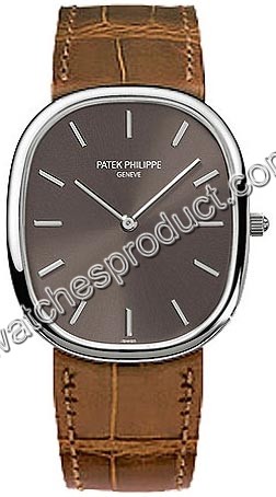 Patek Philippe Mens 3738-100G Watch