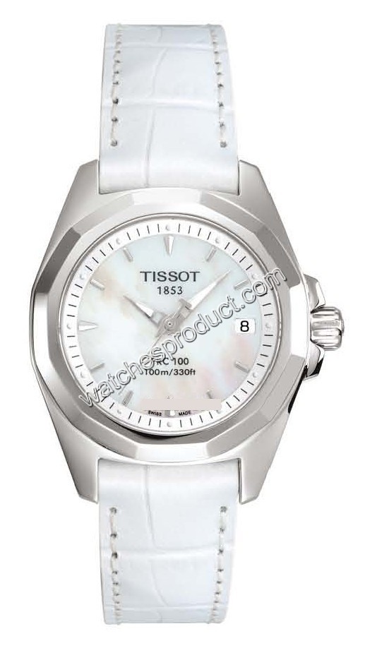 Tissot T008.010.16.111.00 Steel Watch