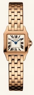 Cartier Silver Dial Ladies Watch W25077X9