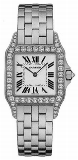 Cartier Santos Watch WF9004Y8